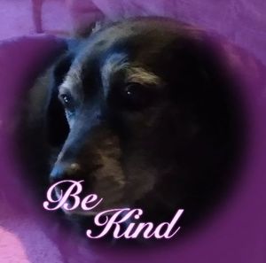 Meet your Posher, Kris